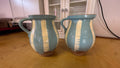 Pottery Barn Large Terracotta Decorative Pitchers – Pair