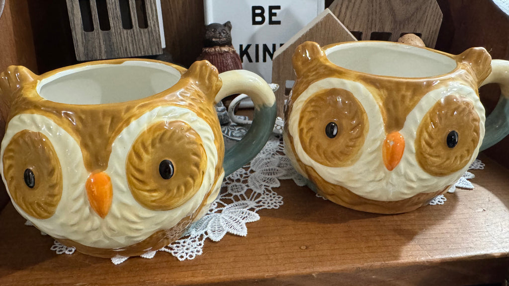 Set of 2 Ceramic Owl Mugs – Brown & Cream with Teal Handles