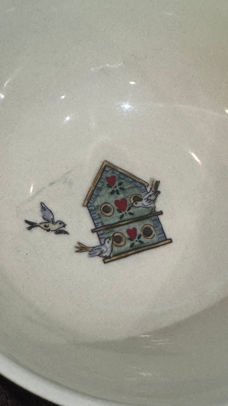 45 Pc Thomson Pottery Birdhouse Country Cottage Dinnerware Set