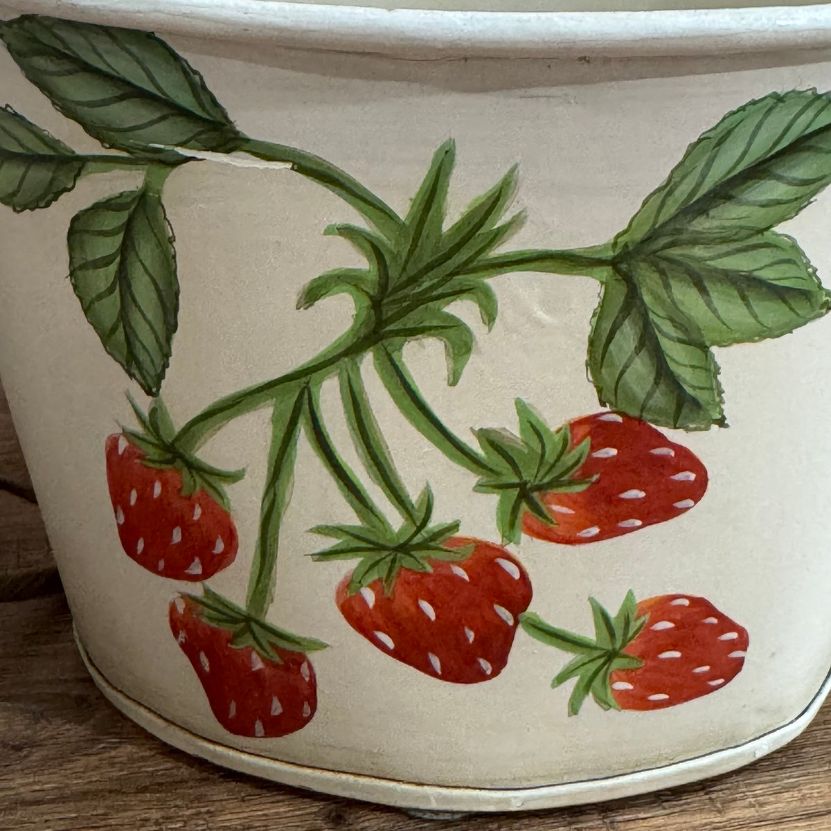 Vintage Style Strawberry Planter Pots | Set of 2 Decorative Metal Cachepots